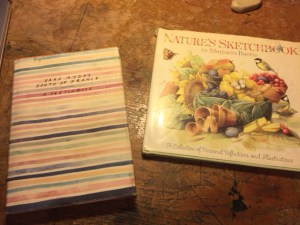 Marjolein Bastin's Nature's Sketchbook and Sara Midda's South of France