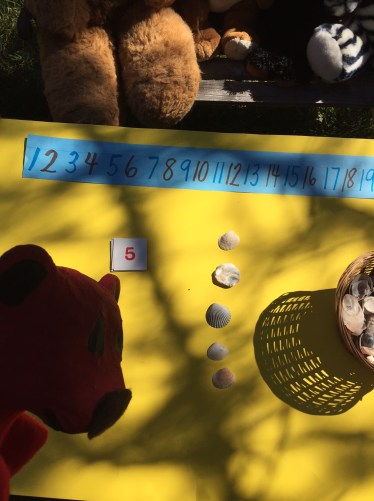 Recognizing numbers counting 5 objects at Montana Bear School
